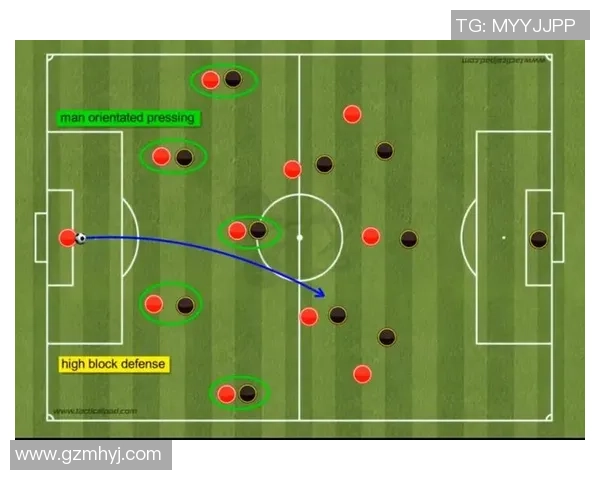 杭州乒乓球队灵活性表现的数据分析与战术优化研究 杭州乒乓球队灵活性表现的数据分析与战术优化研究